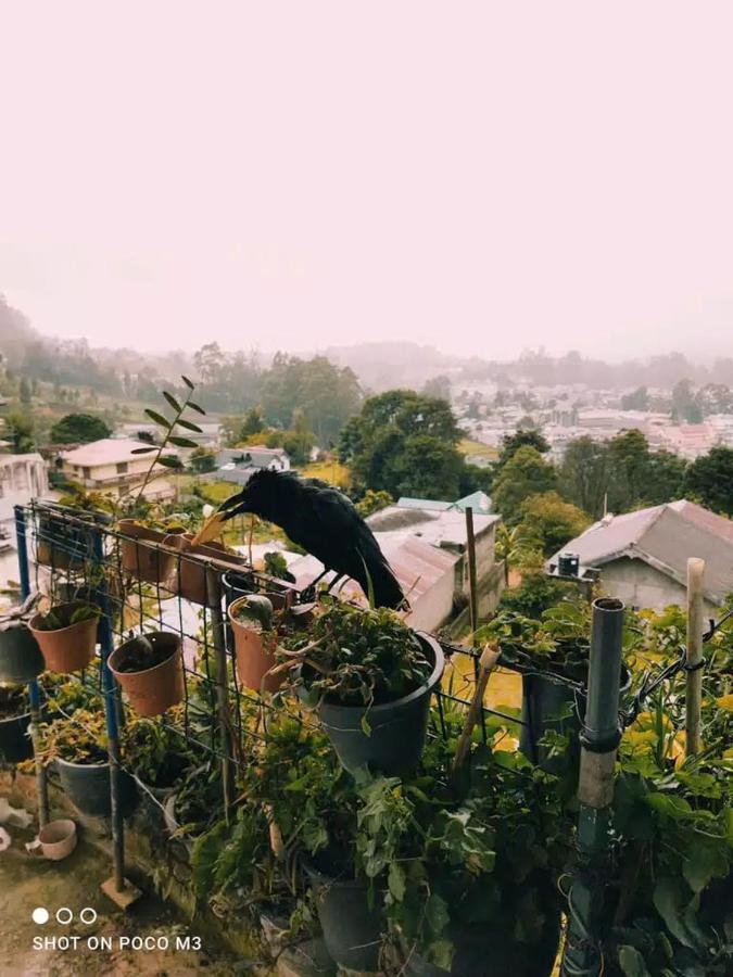 La Rose Home Stay Nuwara Eliya Exterior foto