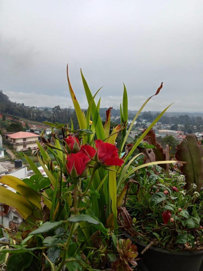 La Rose Home Stay Nuwara Eliya Exterior foto